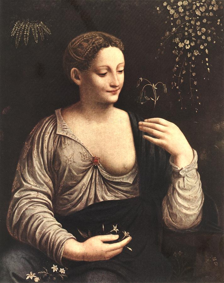 Melzi Francesco - Flora.jpg